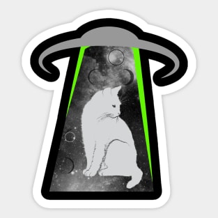 kitten Sticker